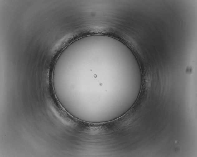 X0000113230686200909241523