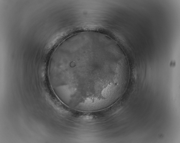 X0000113230687200909241523