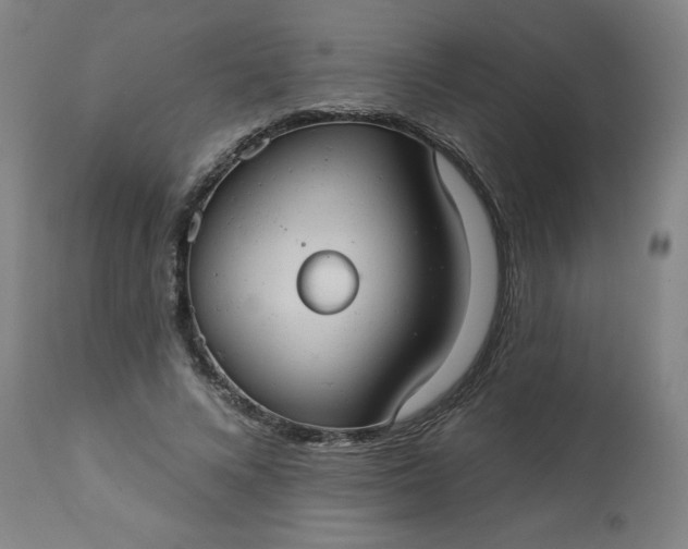 X0000113230688200909241523