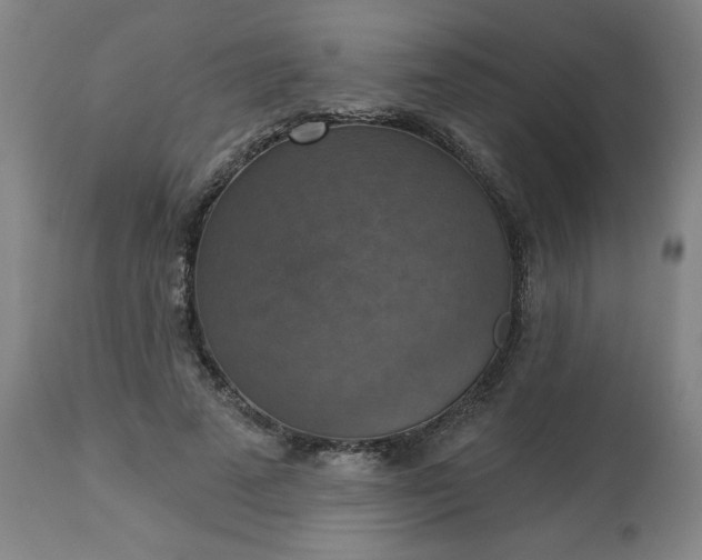 X0000113230689200909241523