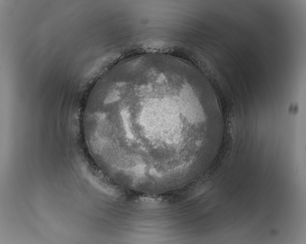 X0000113230690200909241523