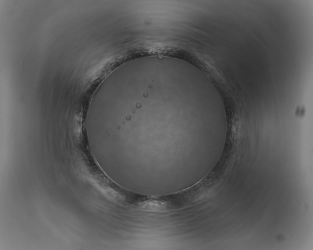 X0000113230691200909241523