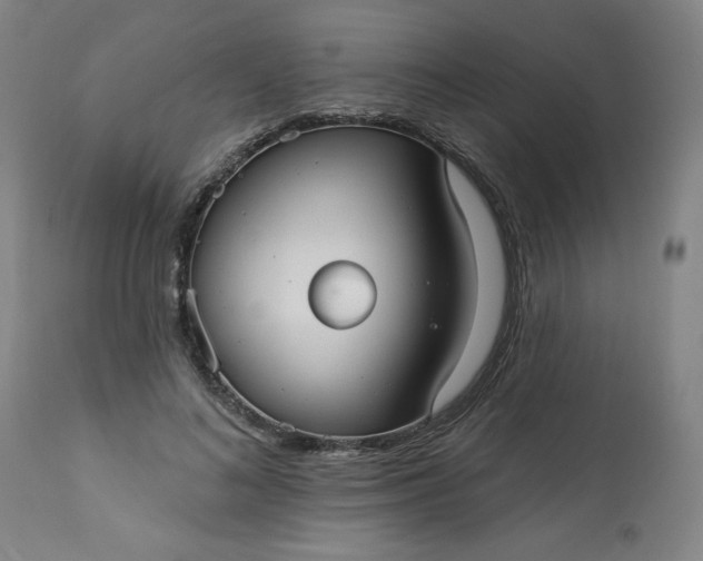 X0000113230692200909241523