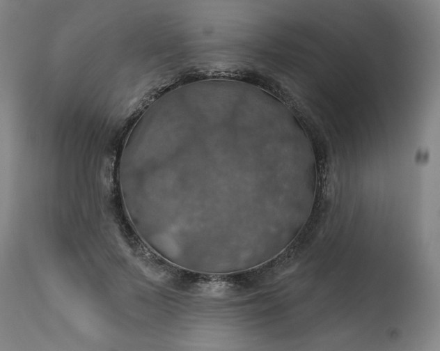 X0000113230695200909241523