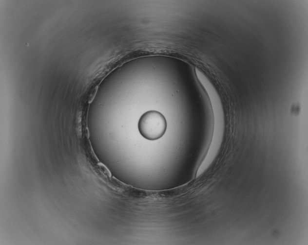 X0000113230696200909241523