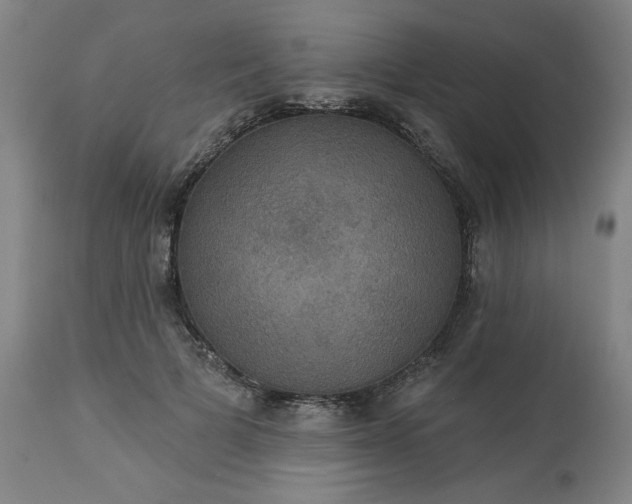 X0000113230697200909241523