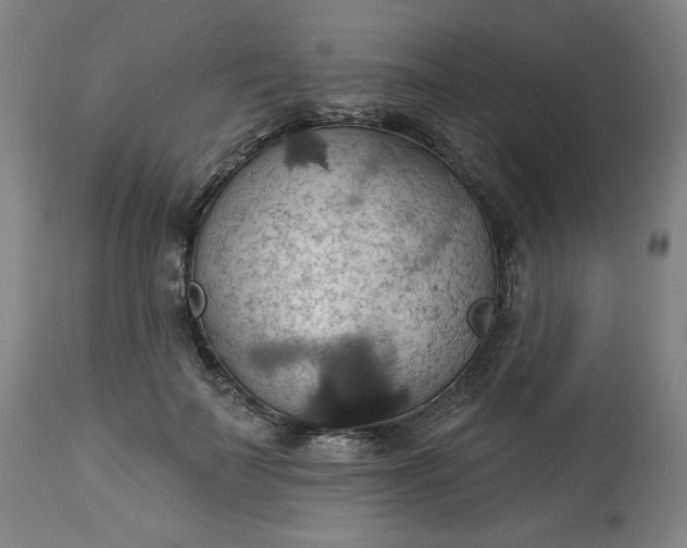 X0000113230699200909241523