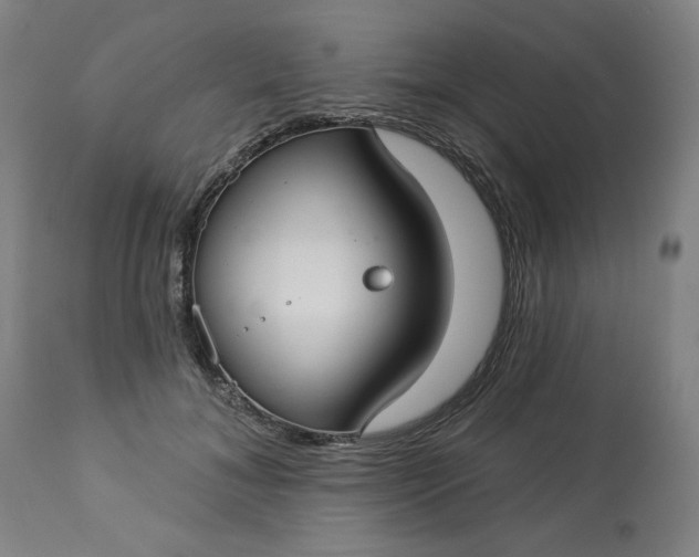 X0000113230700200909241523