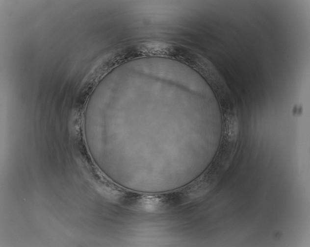 X0000113230701200909241523