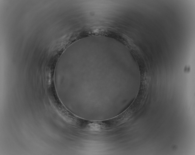 X0000113230703200909241523