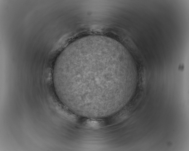 X0000113230706200909241523