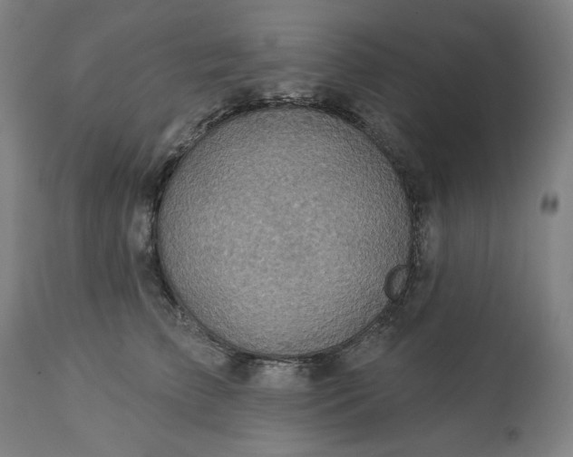 X0000113230709200909241523