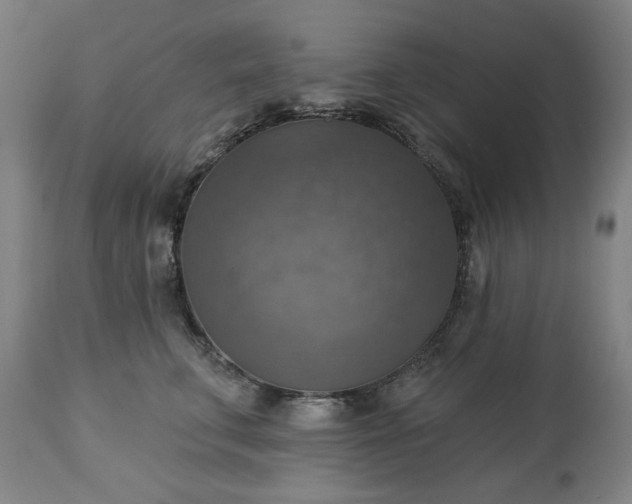 X0000113230711200909241523