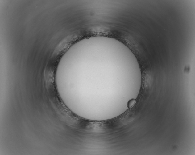 X0000113230713200909241523