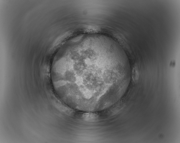 X0000113230714200909241523