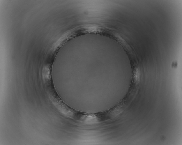 X0000113230715200909241523