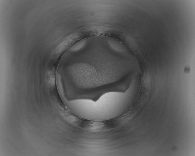 X0000113230719200909241523