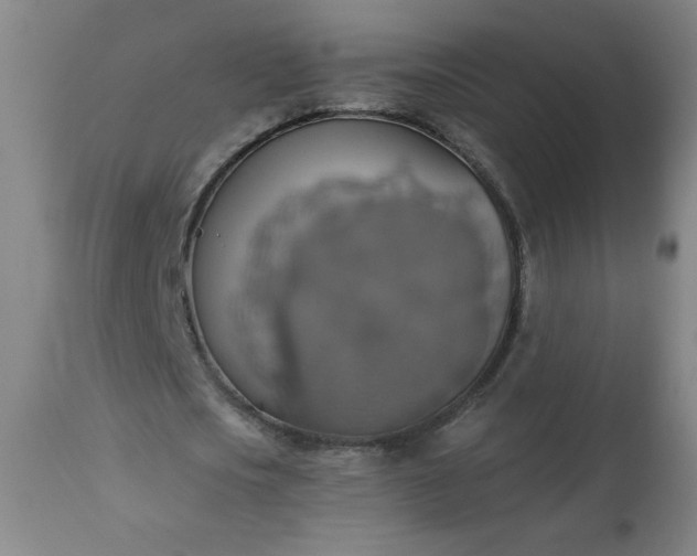 X0000113230721200909241522