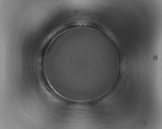 X0000113230722200909241522