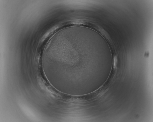 X0000113230723200909241522