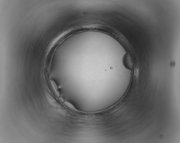 X0000113230724200909241522