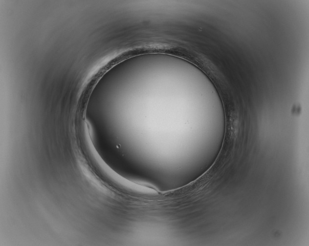 X0000113230726200909241522