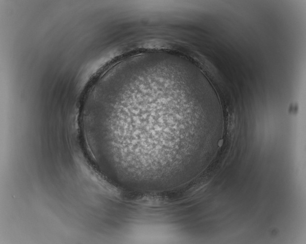 X0000113230727200909241522