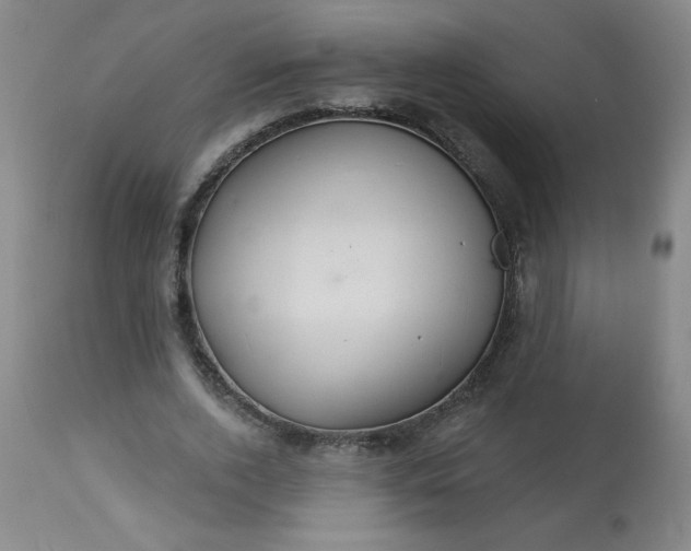 X0000113230728200909241522