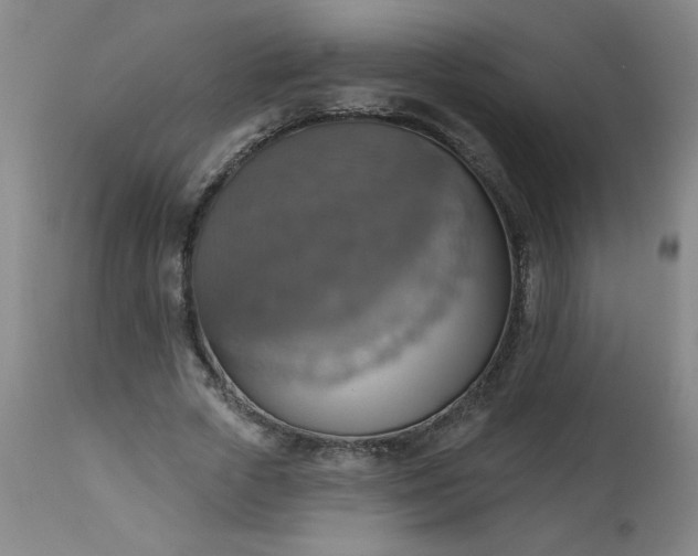 X0000113230729200909241522