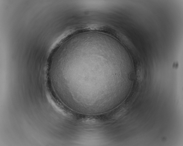 X0000113230730200909241522