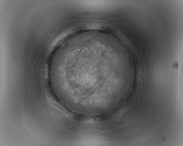 X0000113230731200909241522