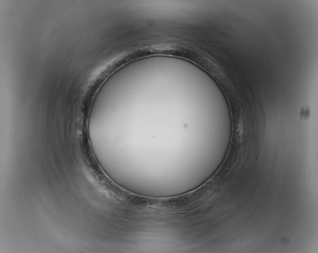 X0000113230732200909241522