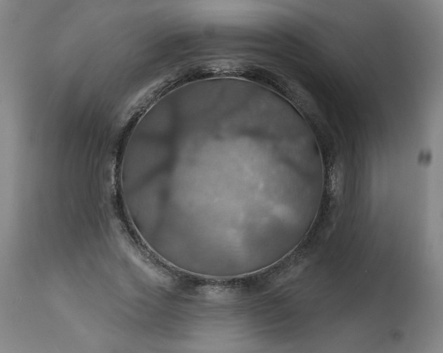 X0000113230733200909241522