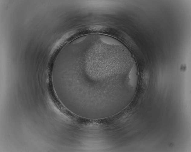 X0000113230734200909241522