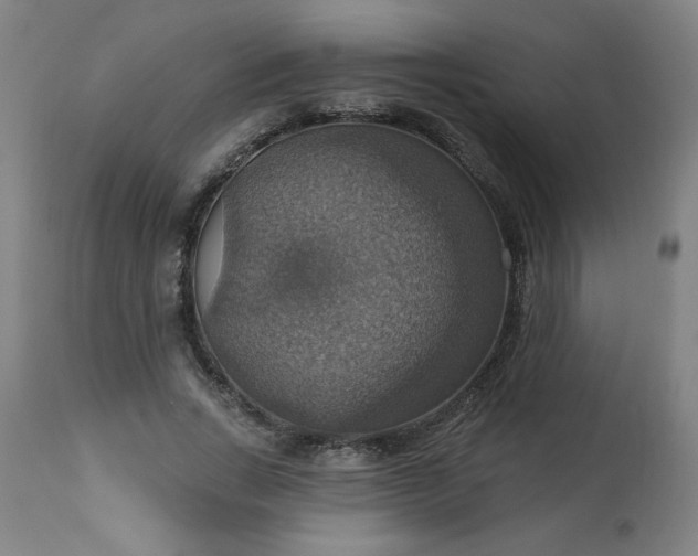 X0000113230735200909241522