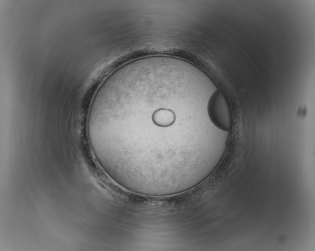 X0000113230736200909241522