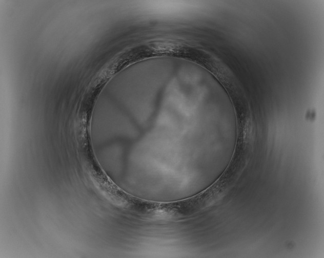 X0000113230737200909241522