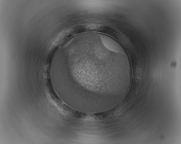 X0000113230738200909241522