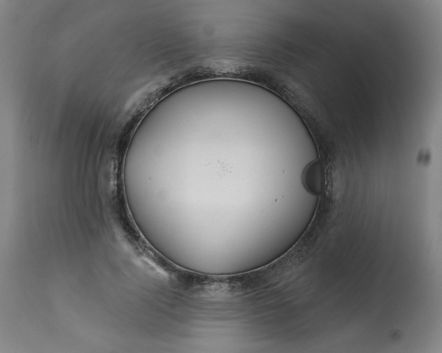 X0000113230740200909241522