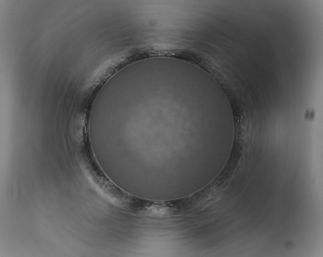 X0000113230742200909241522