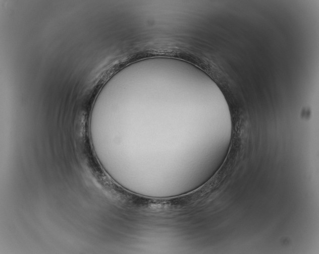 X0000113230744200909241522