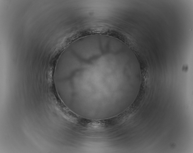 X0000113230745200909241522