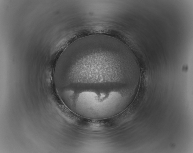 X0000113230746200909241522