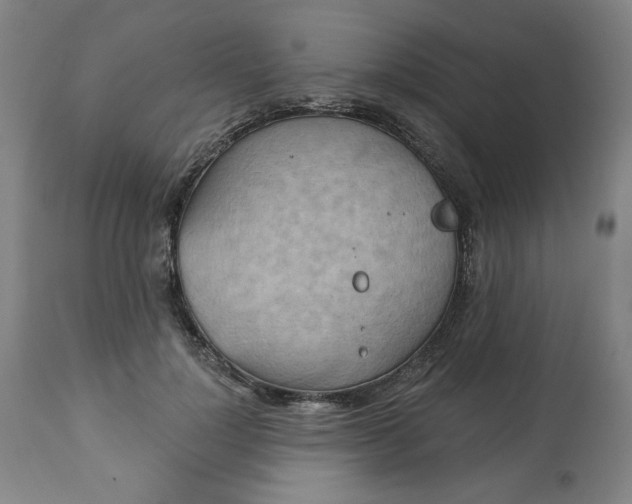 X0000113230748200909241522