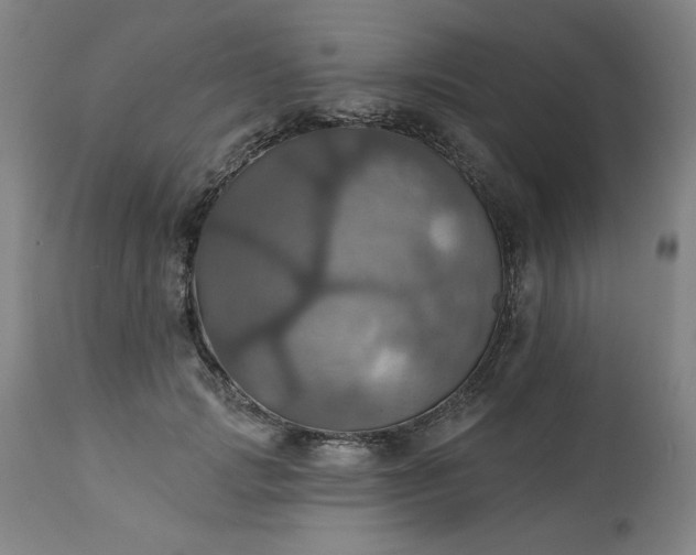 X0000113230749200909241522