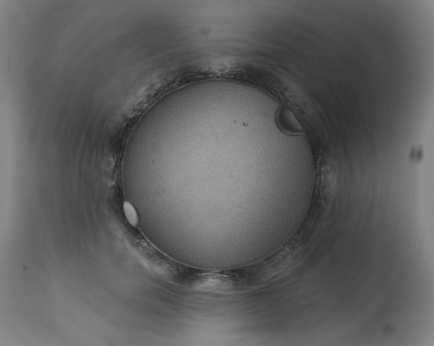 X0000113230750200909241522