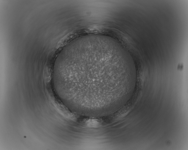 X0000113230751200909241522