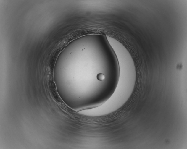 X0000113230752200909241522