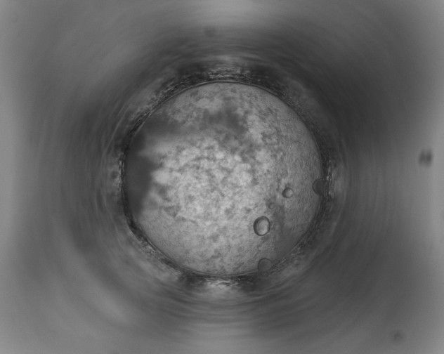 X0000113230753200909241522