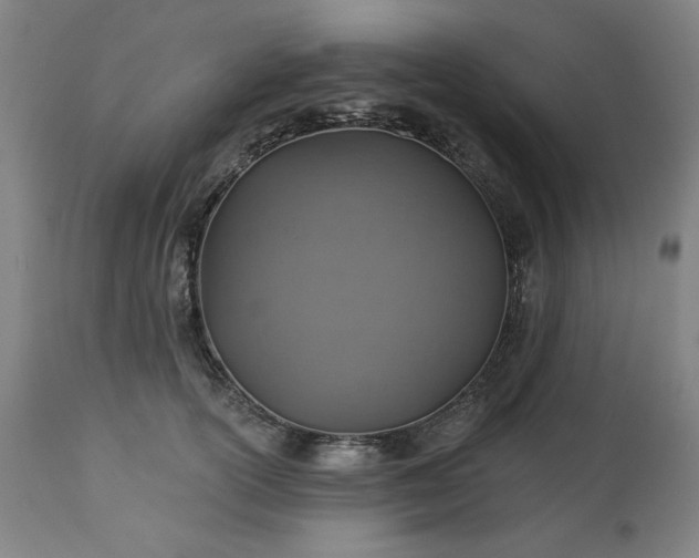 X0000113230754200909241522